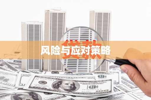 文县风险与应对策略