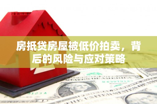 东源房抵贷房屋被低价拍卖，背后的风险与应对策略
