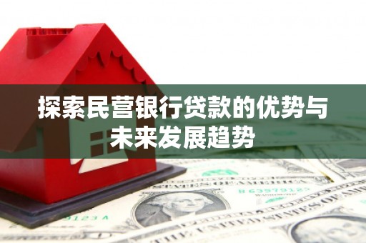 高明探索民营银行贷款的优势与未来发展趋势