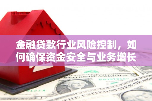 孟连金融贷款行业风险控制，如何确保资金安全与业务增长